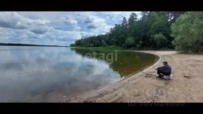 Участок в Ульяновская область, Старомайнский район, Краснореченское ... - Фото 1