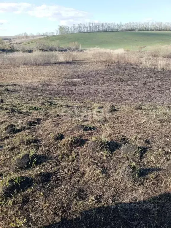 Участок в Алтайский край, Алтайский район, с. Алтайское ул. Ершова ... - Фото 0