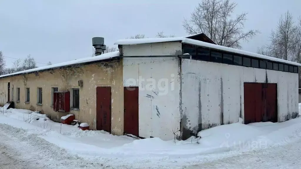 Производственное помещение в Свердловская область, Нижний Тагил ул. ... - Фото 1