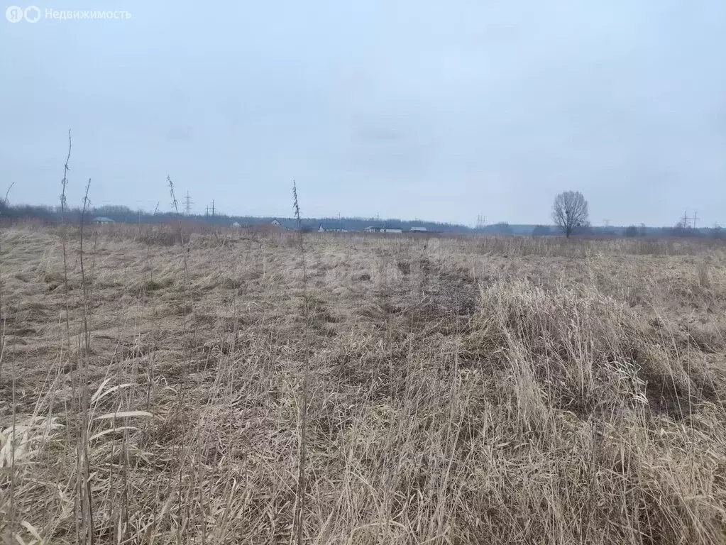 Участок в Калининградская область, Багратионовский муниципальный ... - Фото 2