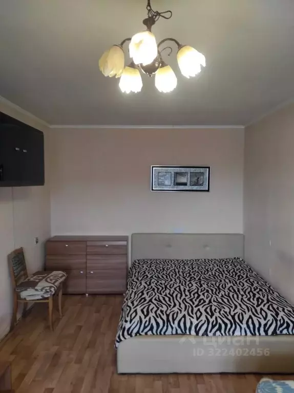 2-к кв. Новосибирская область, Новосибирск Линейная ул., 45/1 (45.0 м) - Фото 1