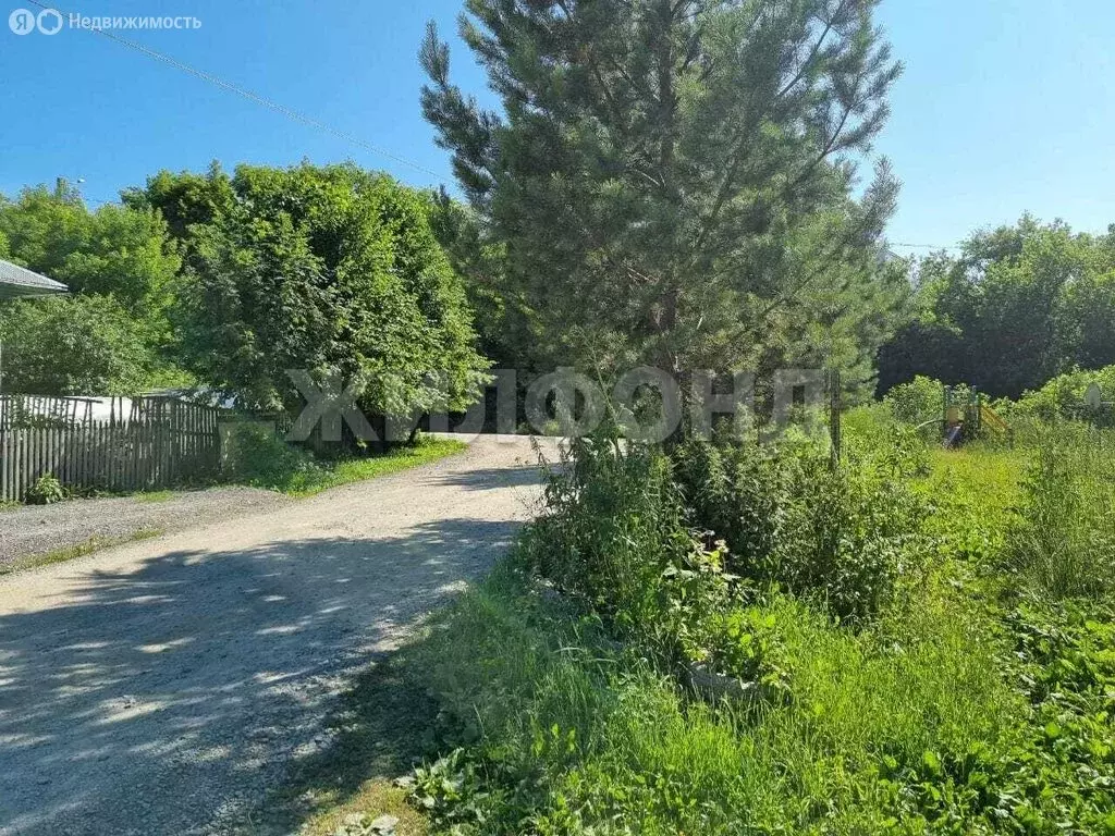 Дом в Новосибирск, Зеленхозовская улица (120 м) - Фото 1