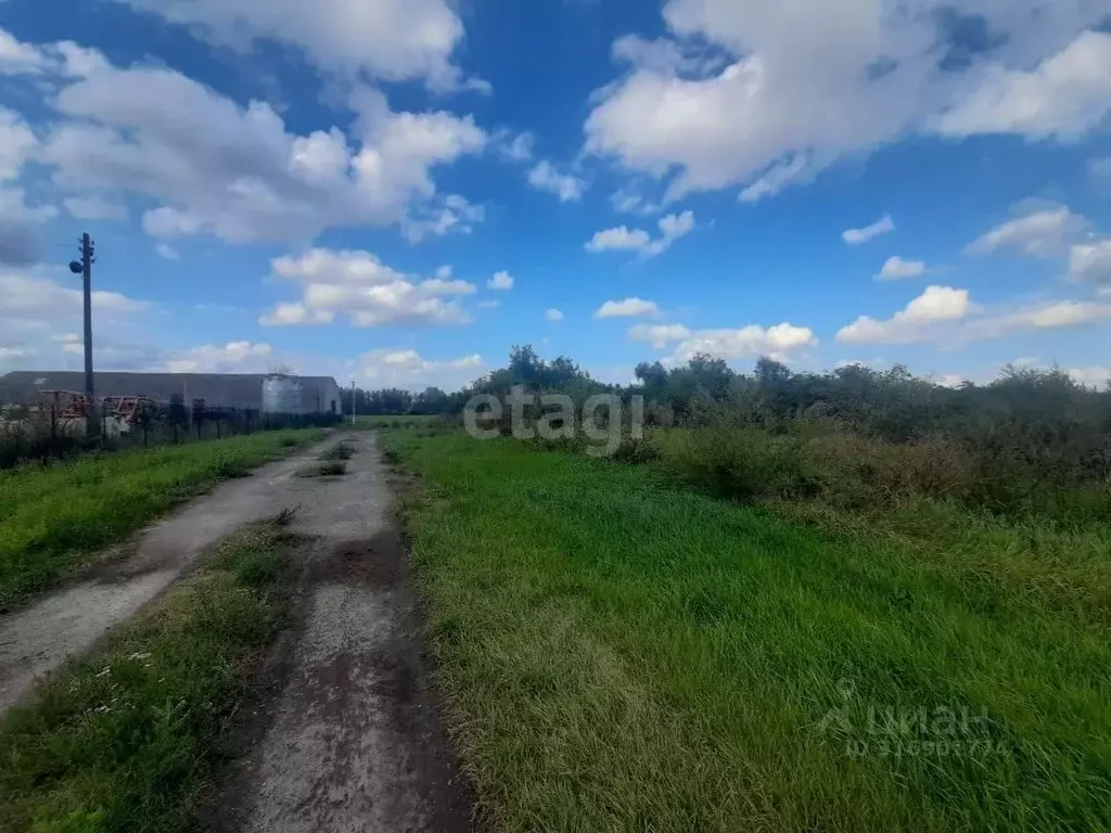 Участок в Белгородская область, Валуйский муниципальный округ, с. ... - Фото 0