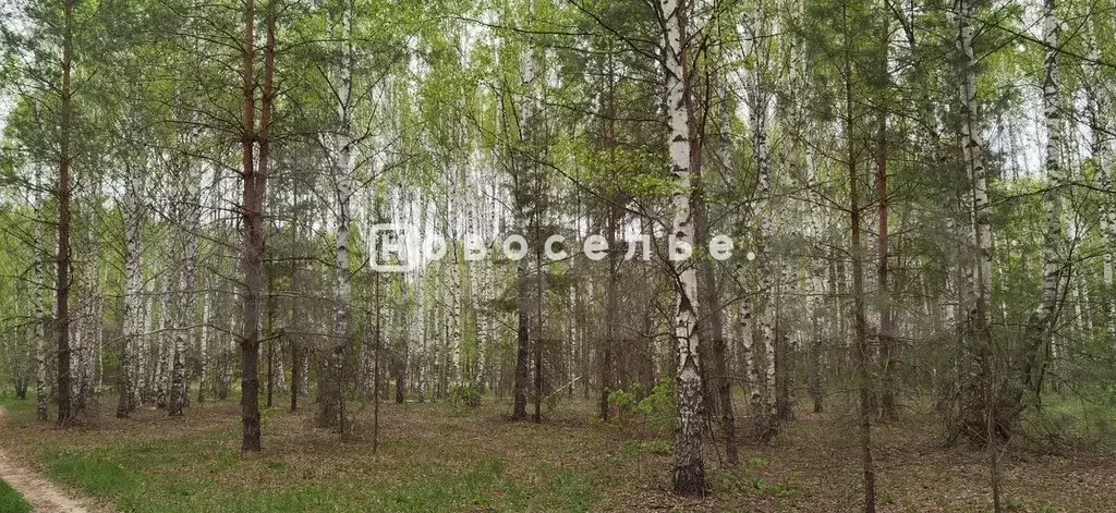 Участок 10,3 га (СНТ, ДНП) - Фото 1