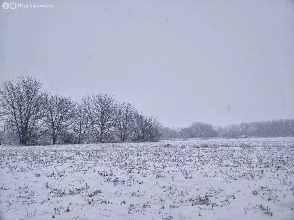 Участок в село Львовское, улица Мичурина (10 м) - Фото 1