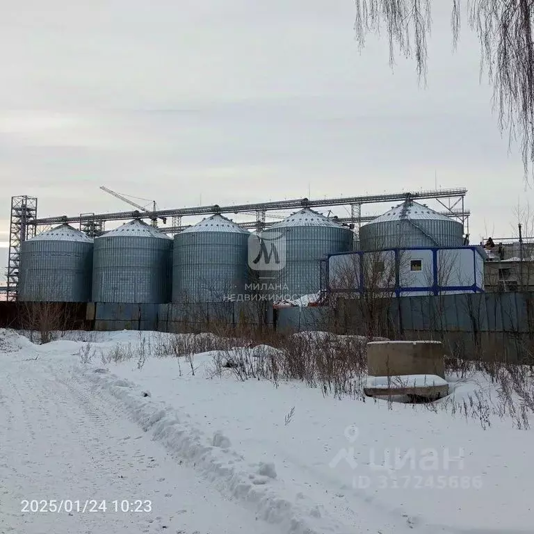 Помещение свободного назначения в Оренбургская область, Бузулук ... - Фото 0