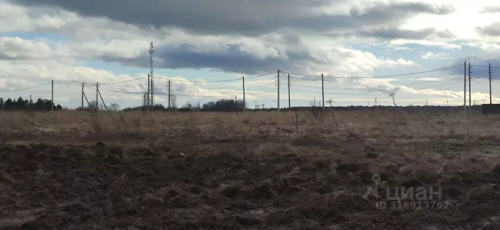 Участок в Московская область, Талдомский городской округ, д. Танино  ... - Фото 1