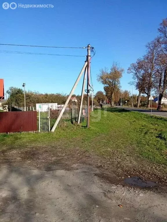 Участок в Калининградская область, Зеленоградский муниципальный округ, ... - Фото 1
