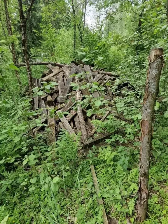 Участок в Московская область, Одинцовский городской округ, д. ... - Фото 2