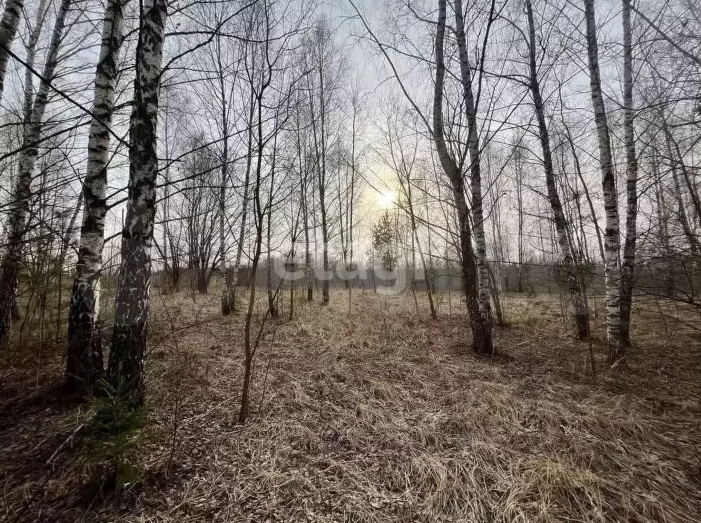 Участок 9 сот. (СНТ, ДНП) - Фото 0