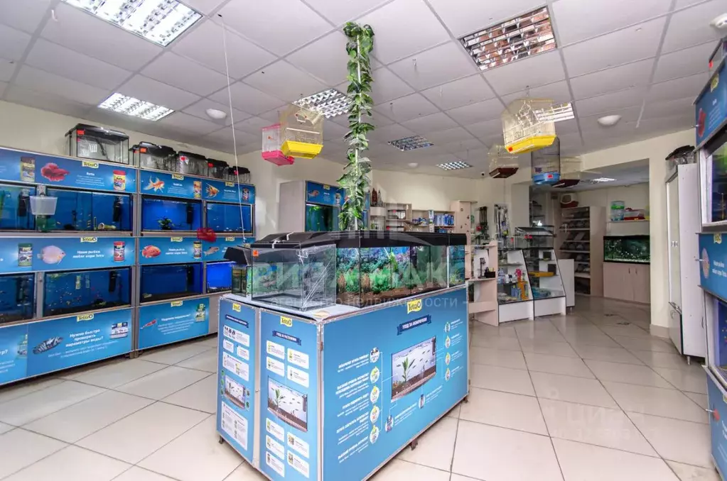 Помещение свободного назначения в Брянская область, Брянск ул. Романа ... - Фото 2