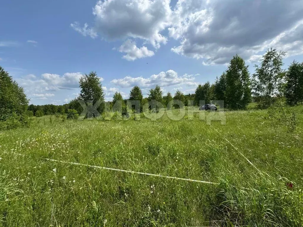 Участок в Новосибирская область, Новосибирский район, Каменский ... - Фото 0