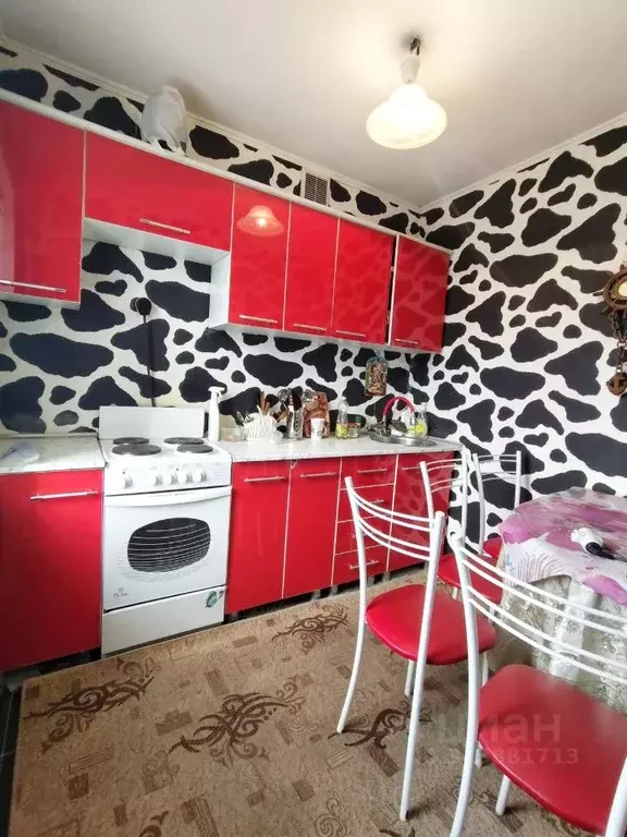 1-к кв. Краснодарский край, Новороссийск ул. Куникова, 50А (23.0 м) - Фото 0