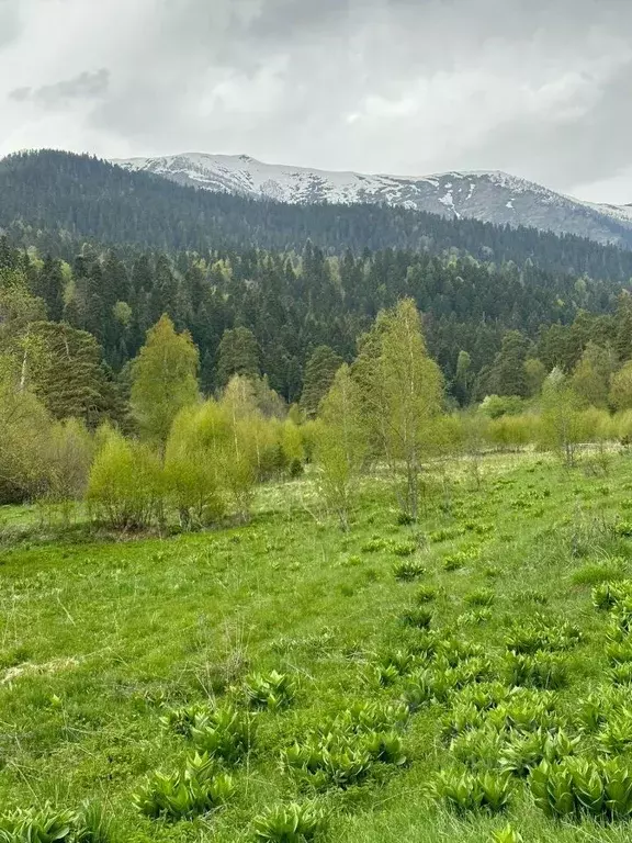 Участок в Карачаево-Черкесия, Зеленчукский район, с. Архыз ул. ... - Фото 0