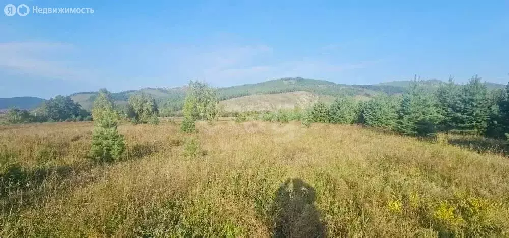 Участок в Тарбагатайский район, сельское поселение Саянтуйское, село ... - Фото 1