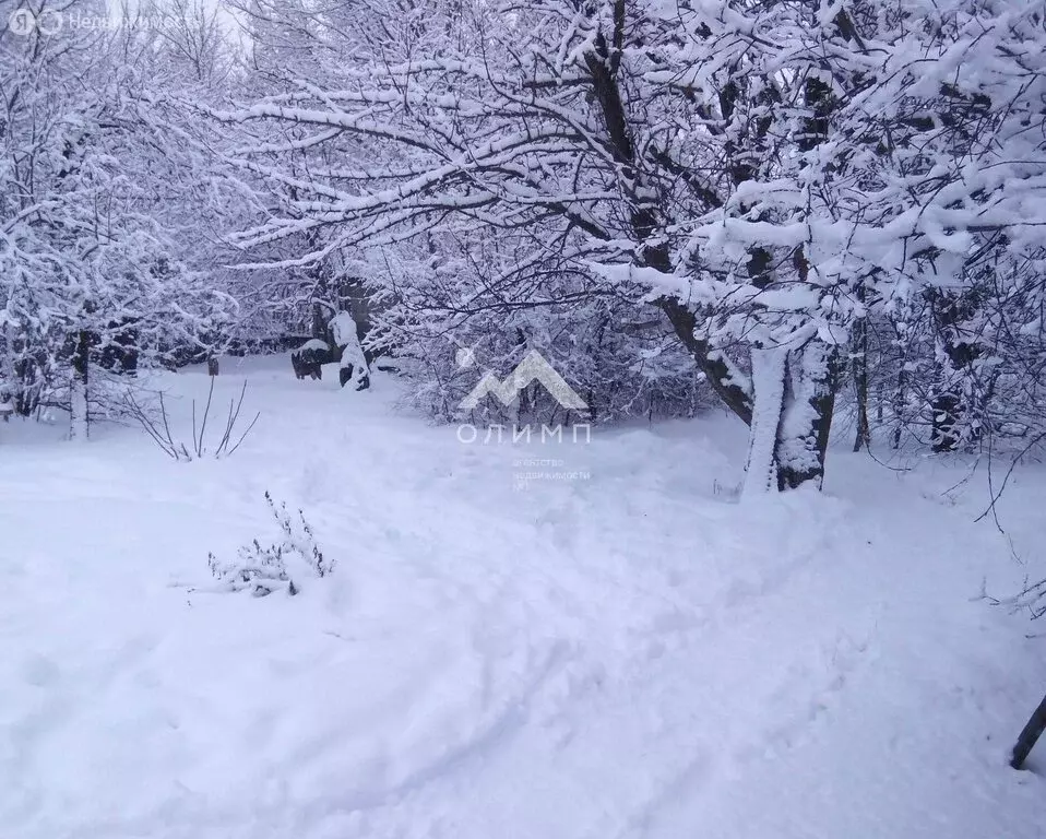 Участок в Вологодская область, Междуреченский муниципальный округ, ... - Фото 1