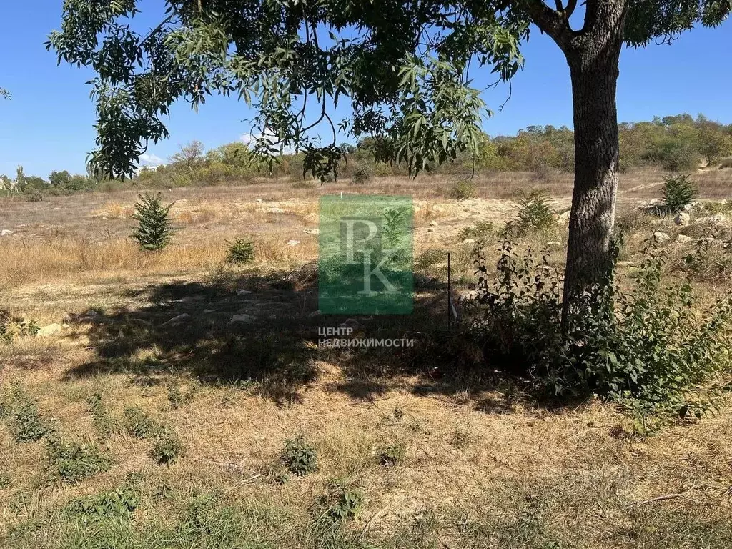 Участок в Челябинская область, Сосновский муниципальный округ, Надежда ... - Фото 1