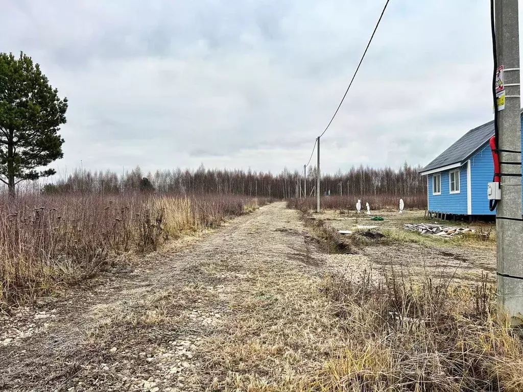 Участок в Тульская область, Заокский район, Страховское с/пос, д. ... - Фото 2