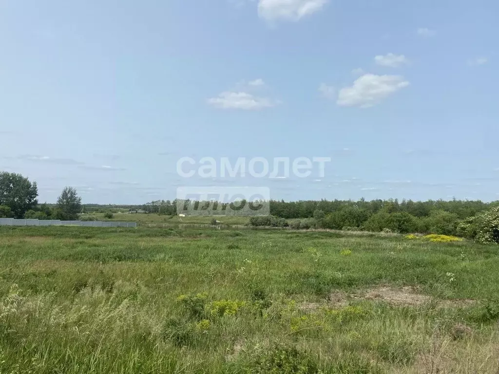 Участок в Курская область, Курский район, с. Ноздрачево, Чистые пруды ... - Фото 1