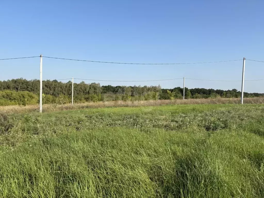 Участок в Белгородская область, Белгородский район, Дубовское с/пос, ... - Фото 1