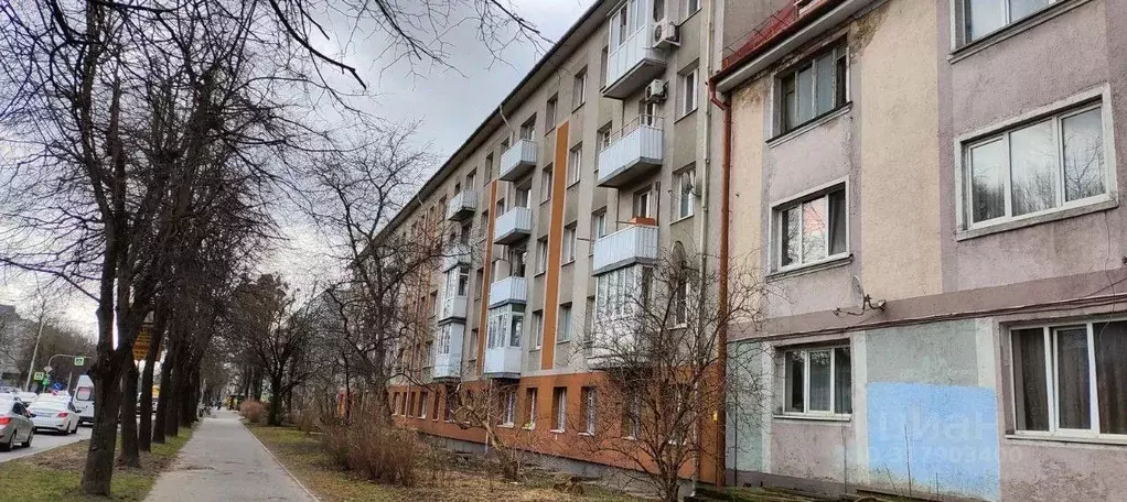 3-к кв. Калининградская область, Калининград ул. Александра Невского, ... - Фото 1