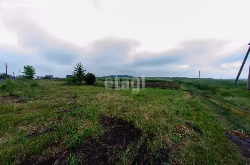 Участок в Курганская область, Сафакулевский муниципальный округ, село ... - Фото 0