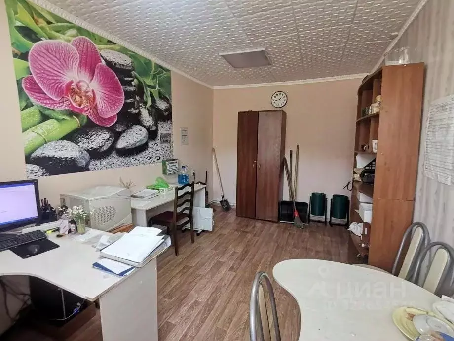 Помещение свободного назначения в Татарстан, Зеленодольск ул. Фрунзе, ... - Фото 2