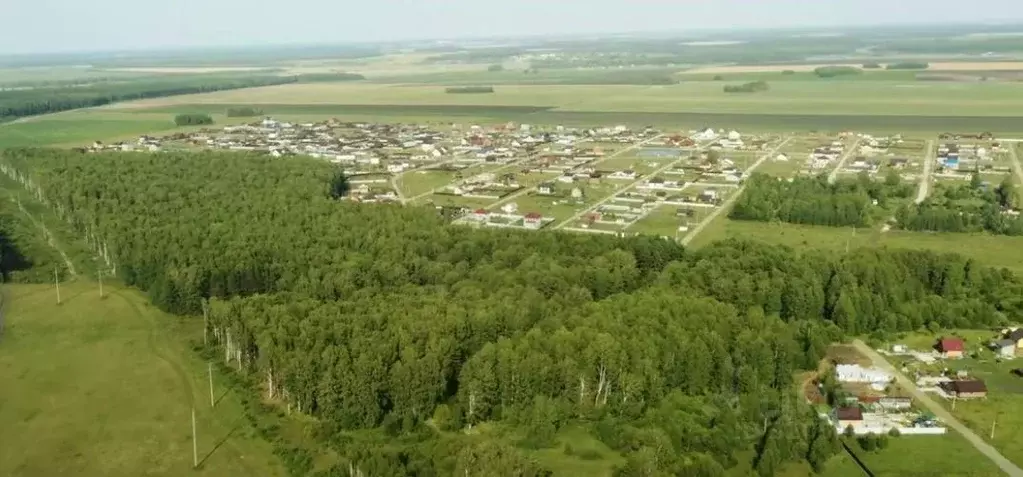 Участок в Свердловская область, Белоярский муниципальный округ, ... - Фото 2