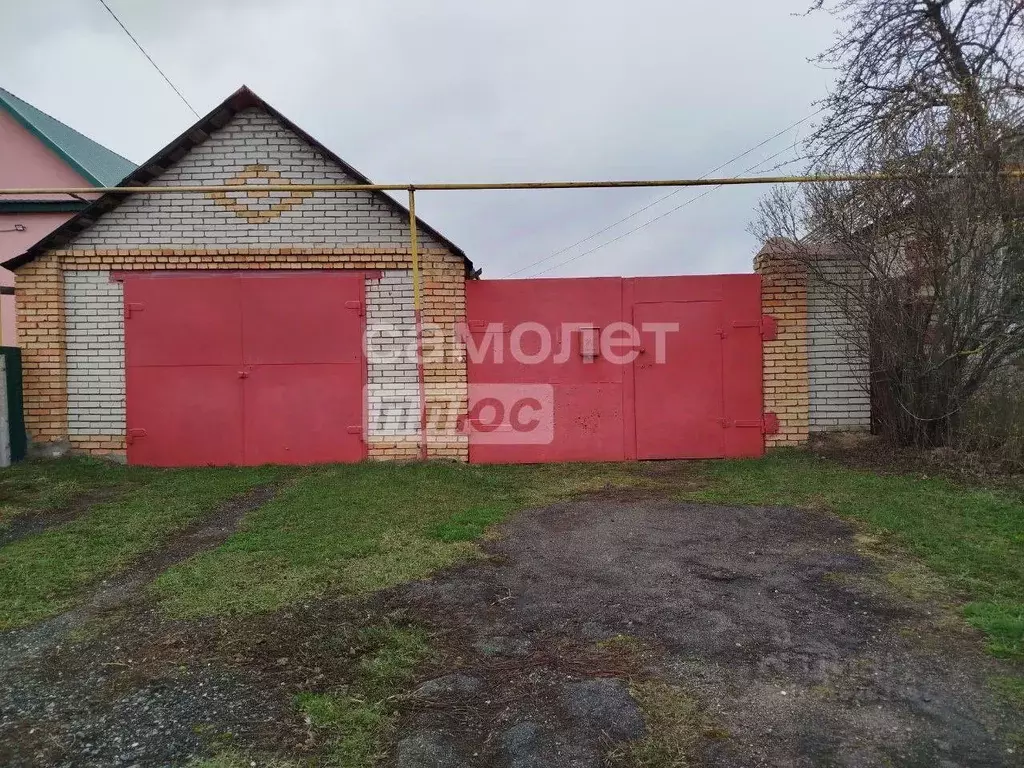 Дом в Пензенская область, Бессоновский район, с. Чемодановка ул. ... - Фото 1