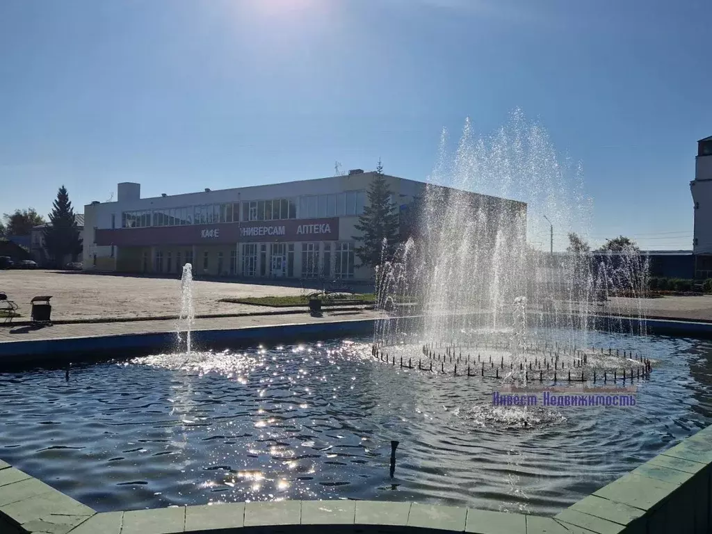 Помещение свободного назначения в Новосибирская область, Черепаново ... - Фото 1