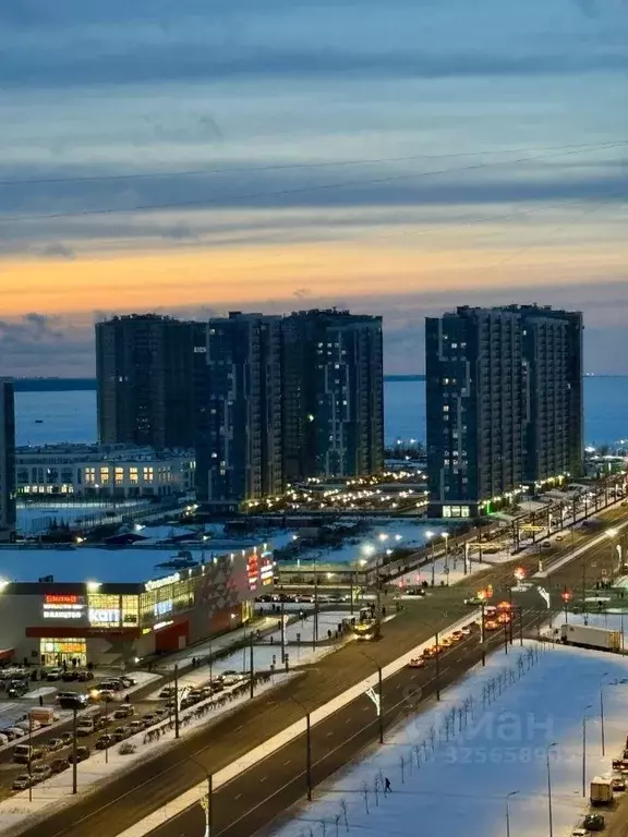 2-к кв. Санкт-Петербург Ленинский просп., 68 (80.0 м) - Фото 1