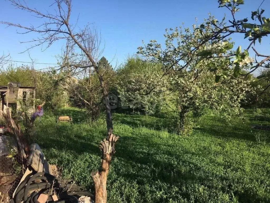 Дом в Ростовская область, Родионово-Несветайское с/пос, Павленков хут. ... - Фото 2