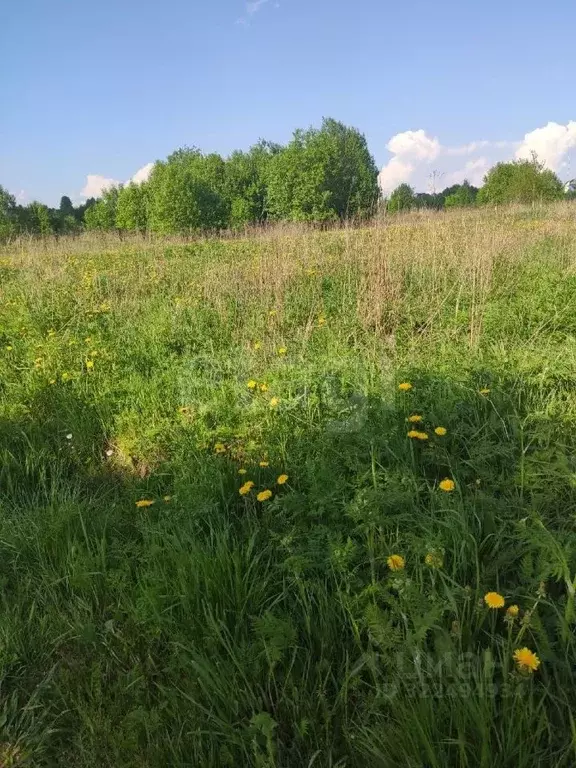 Участок в Вологодская область, д. Пестово  (19.4 сот.) - Фото 2