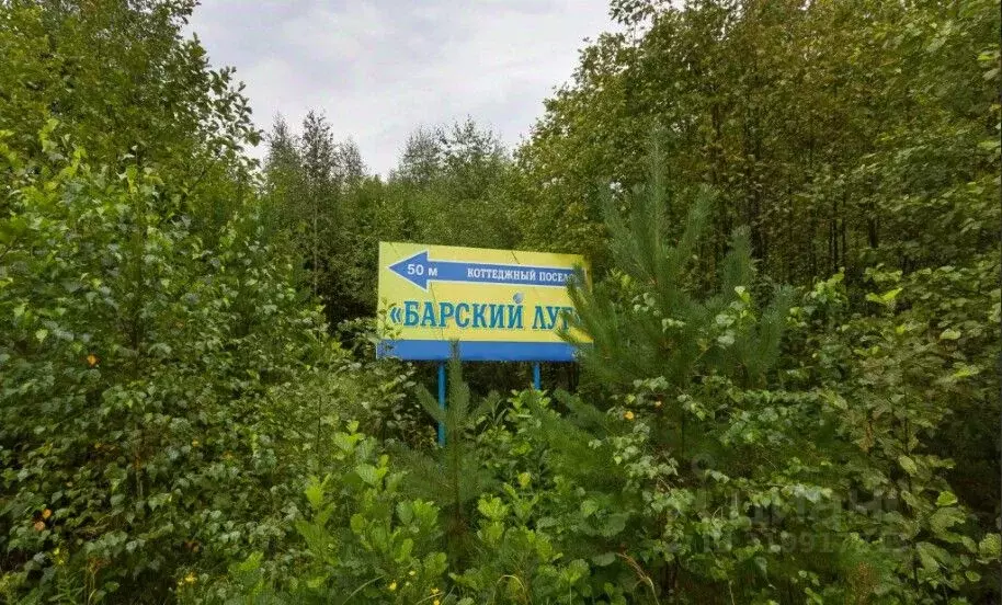 Участок в Владимирская область, Судогодский район, Лавровское ... - Фото 0
