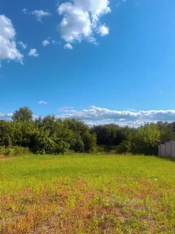 Участок в Курская область, Курский район, Клюквинский сельсовет, д. ... - Фото 2