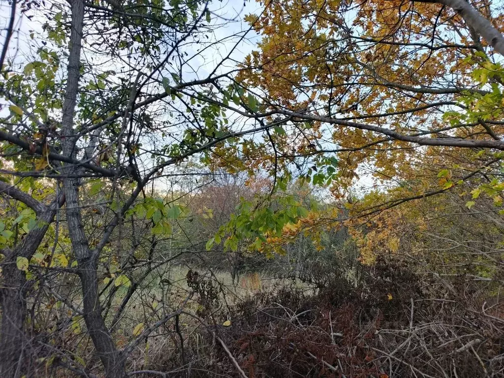 Участок в Краснодарский край, Северский район, Афипское городское ... - Фото 1