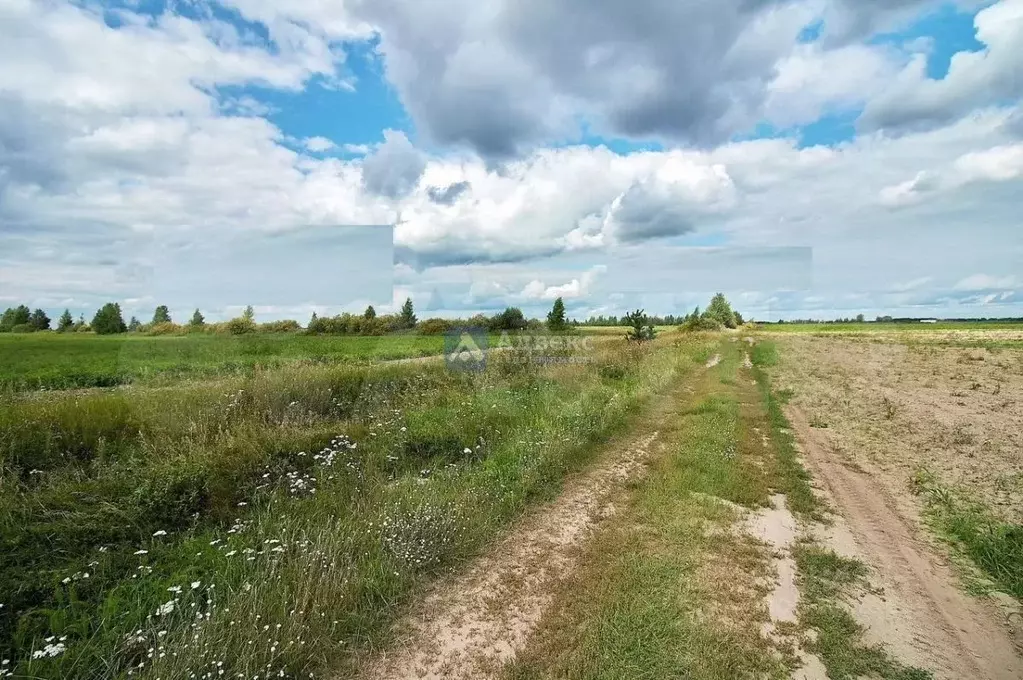 Участок в Тюменская область, Тюменский район, с. Мальково  (7.0 сот.) - Фото 1