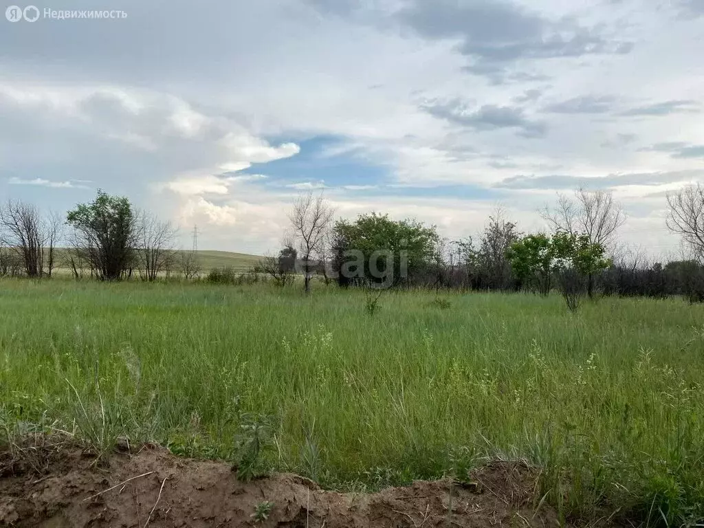 Участок в Абакан, дачный район Колягинские Холмы (6.1 м) - Фото 1