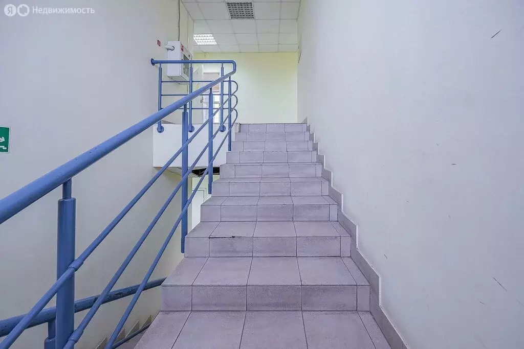 Помещение свободного назначения (1261 м) - Фото 1