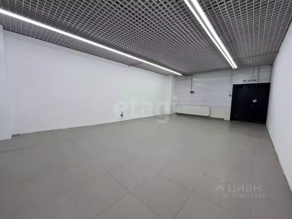 Торговая площадь в Мордовия, Саранск Севастопольская ул., 7/1 (54 м) - Фото 2