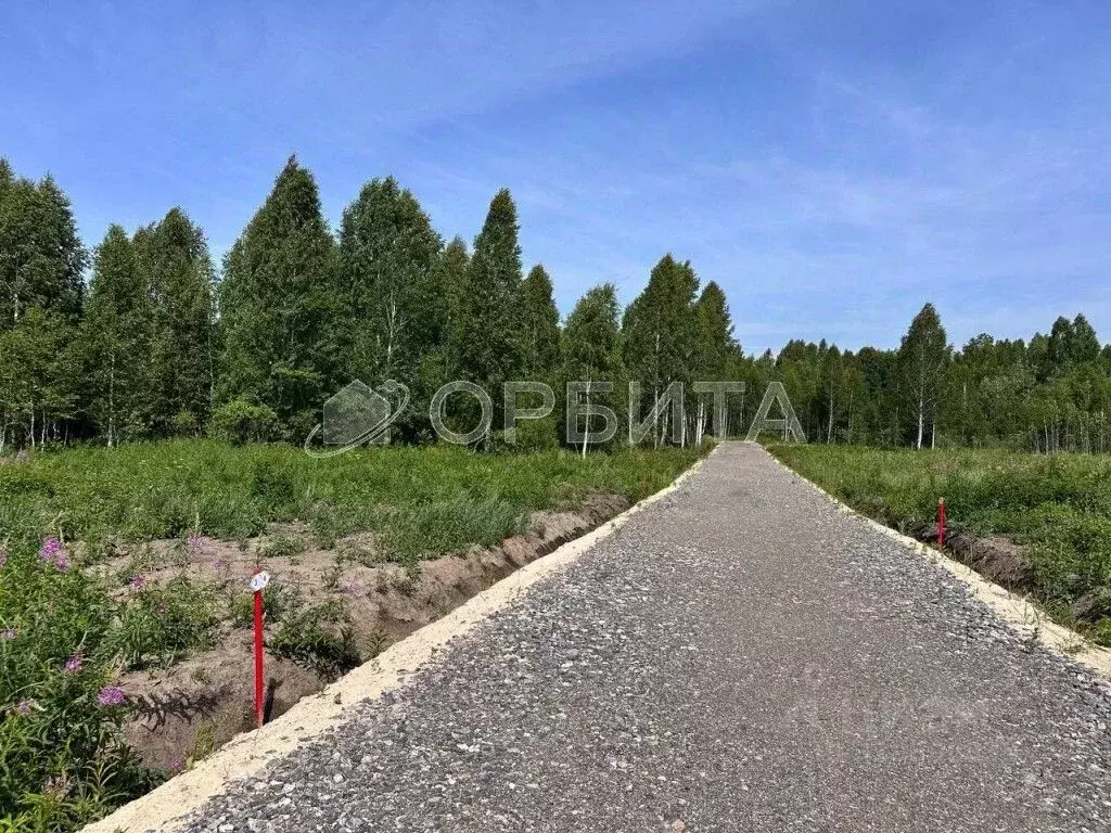 Участок в Тюменская область, Нижнетавдинский район, Сундукуль СНТ  ... - Фото 1