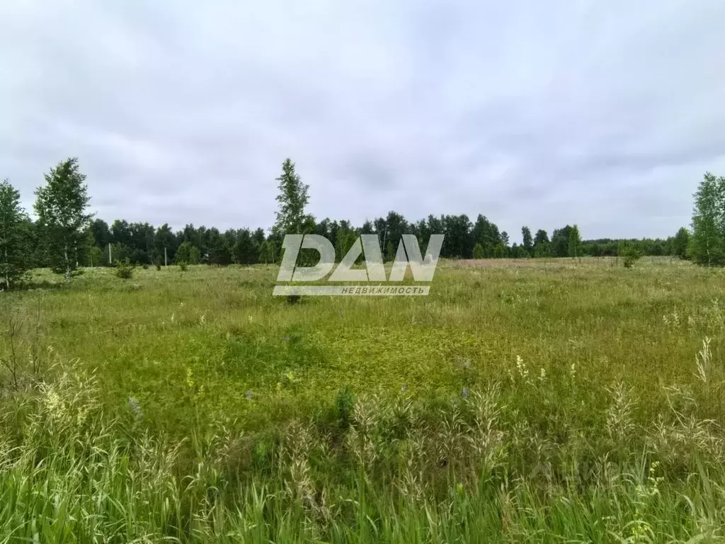 Участок в Челябинская область, Красноармейский район, д. Пашнино 1-е ... - Фото 2