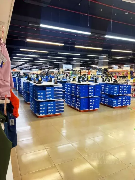 Помещение свободного назначения в Москва Кантемировская ул., 58АС5 ... - Фото 2