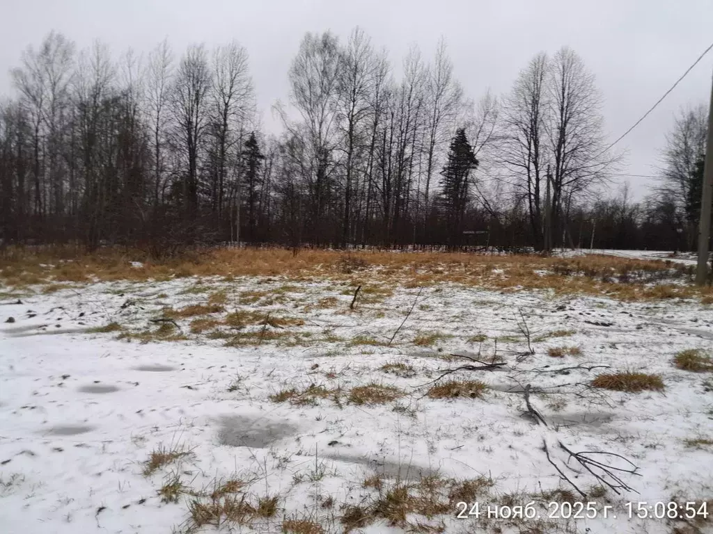 Участок в Московская область, Клин городской округ, д. Исаково  (19.18 ... - Фото 0