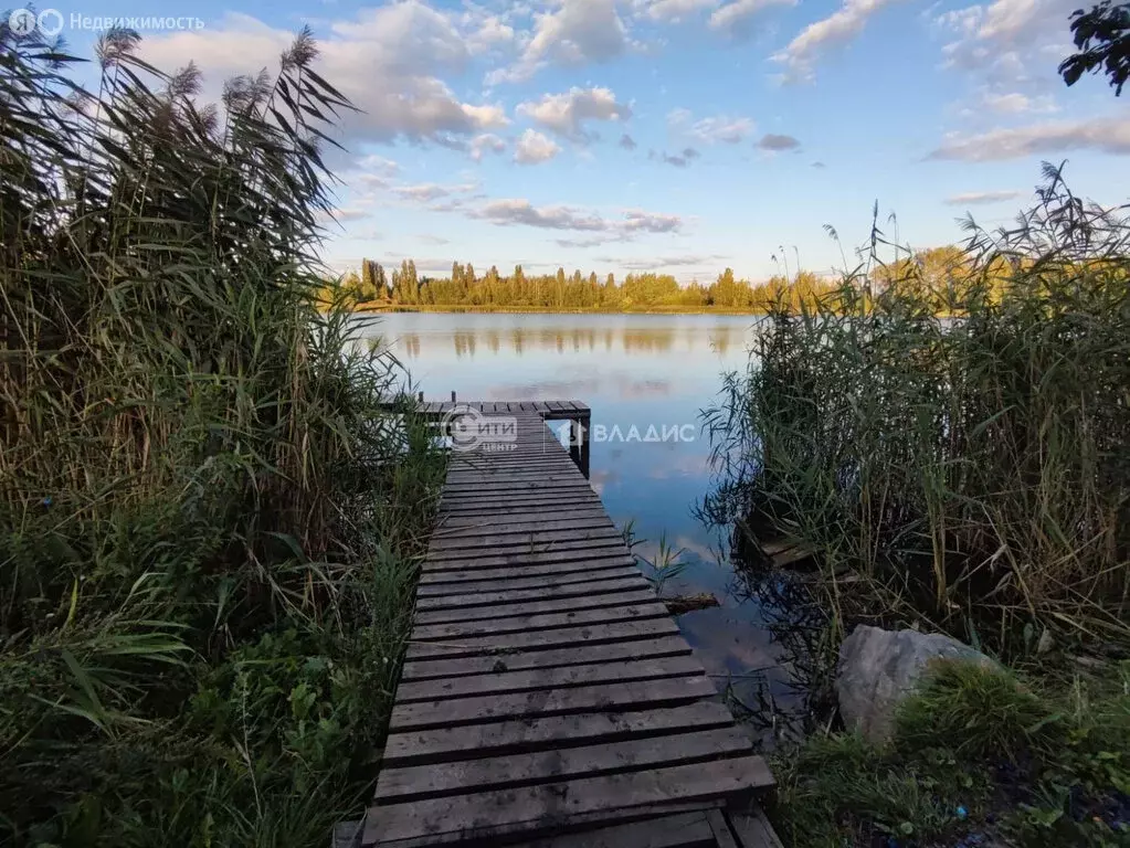 Участок в Стрелицкое городское поселение, СНТ Жемчужина, Западная ... - Фото 1