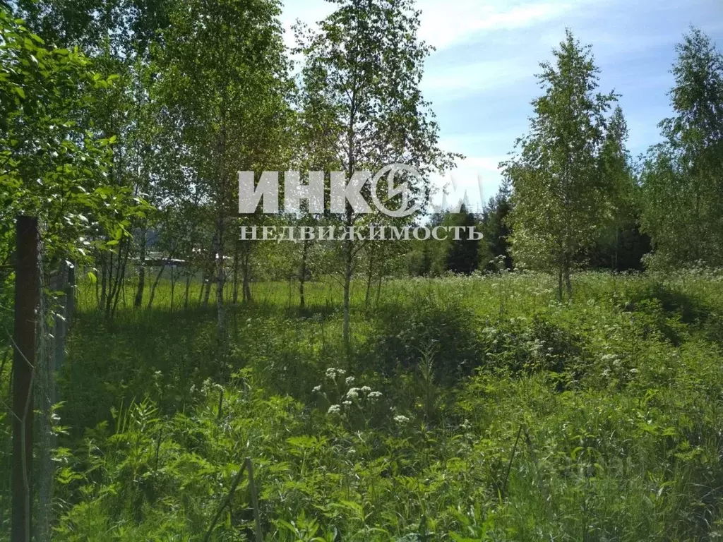 Участок в Московская область, Клин городской округ, д. Сидорково ул. ... - Фото 1