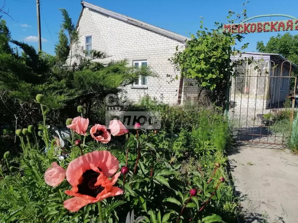 Дом в Белгородская область, Старооскольский городской округ, с. ... - Фото 0