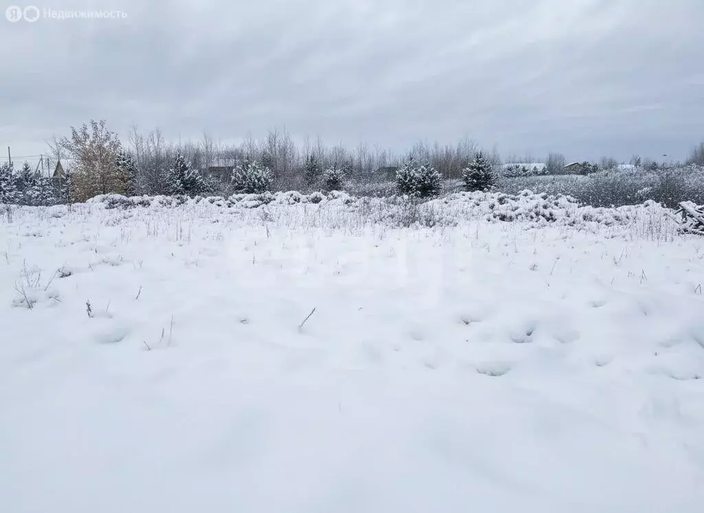 Участок в посёлок Самусь, улица Розы Люксембург (11.34 м) - Фото 1