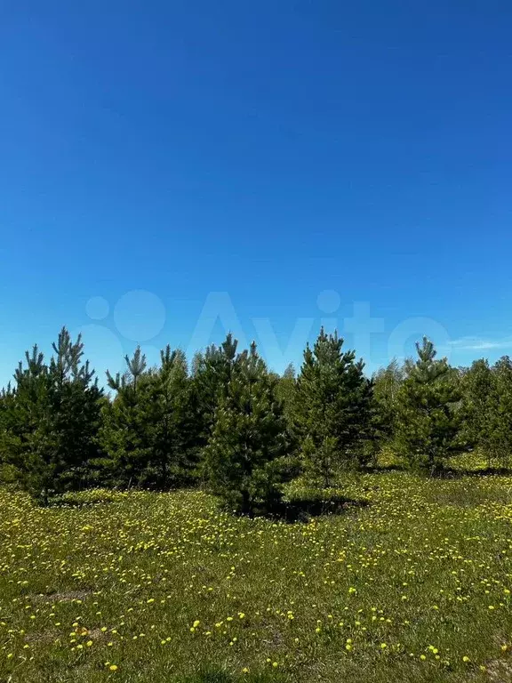 Участок 6 сот. (ИЖС) - Фото 0
