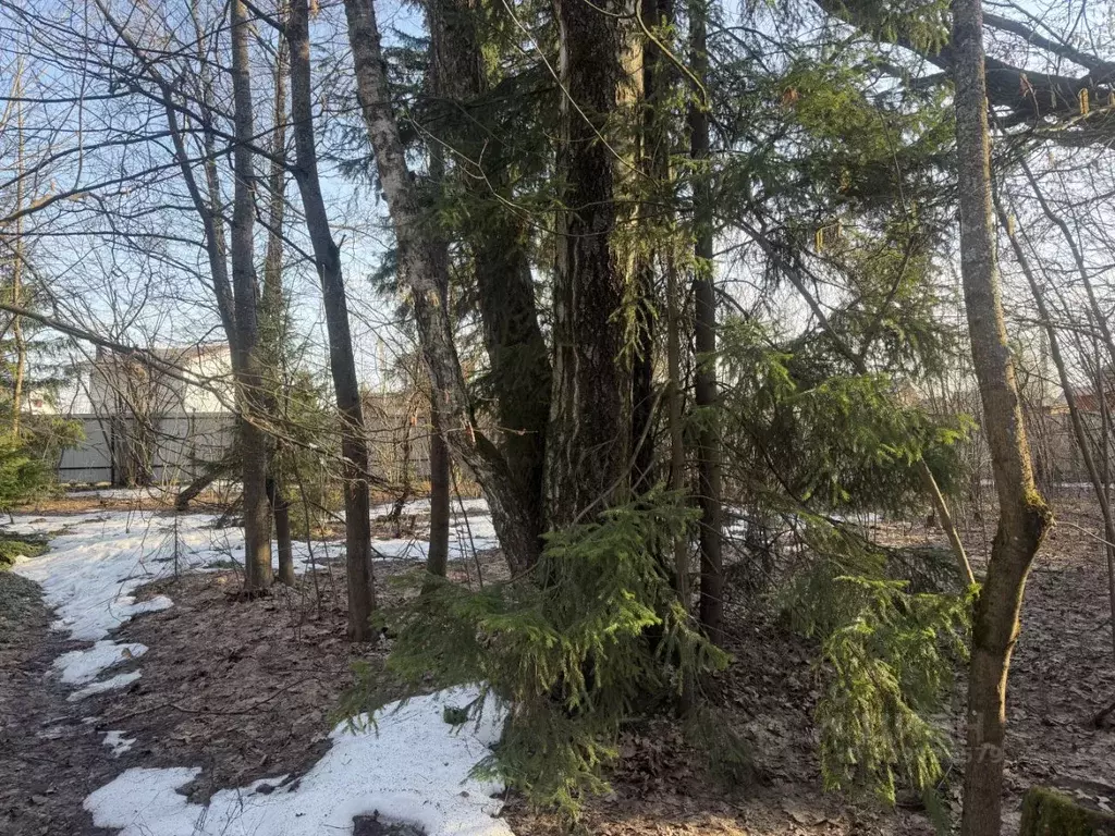 Участок в Московская область, Лобня Луговая мкр, Кольцевая ул. (5.7 ... - Фото 1